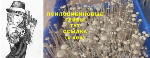 spice Елизово