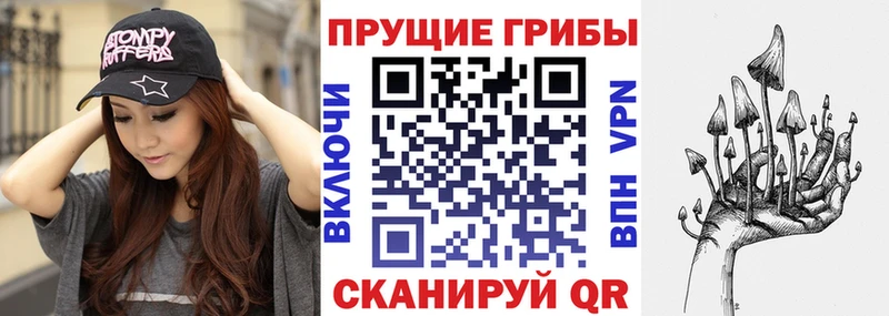 Галлюциногенные грибы Psilocybe  Купить закладки  Светлоград 